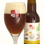 singelbier-glasfles-596×1024